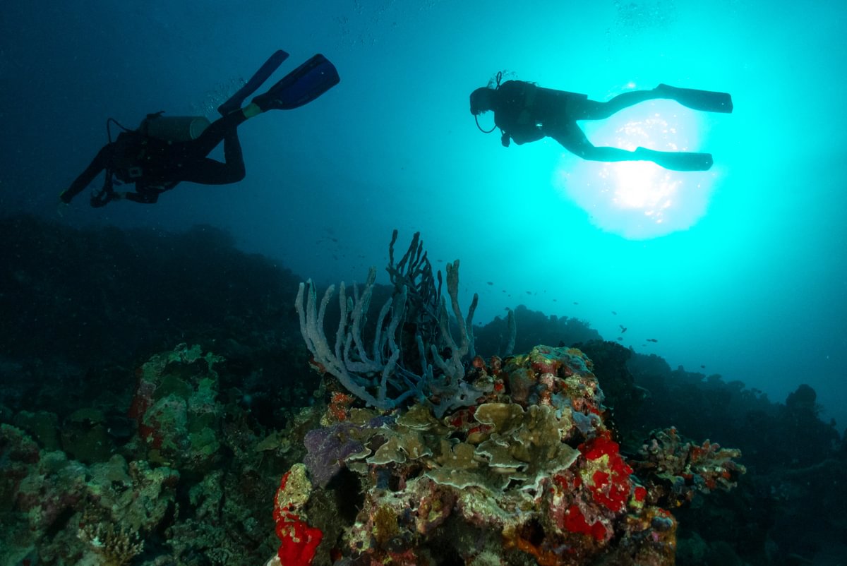 Where wonder flows beneath and thrills await above